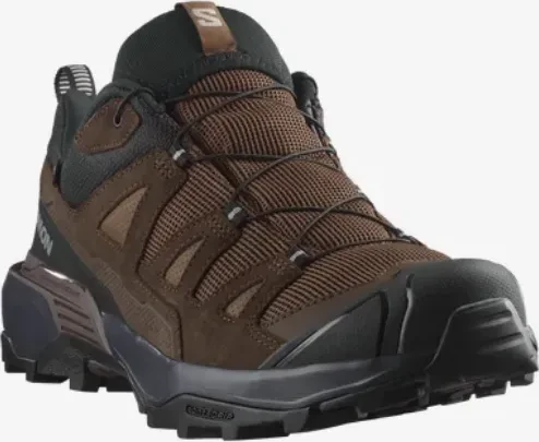 Salomon X Ultra 360 Leather GTX dark earth/delicioso/sharkskin (Herren)