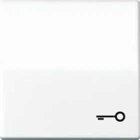 Jung Serie AS Wippe mit Symbol "Tür", alpinweiß