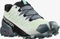 Salomon Speedcross 5 GTX patina green/stormy weather/peacock green (Damen) Vorschaubild