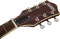 Gretsch G5622 Electromatic CB Aged Walnut Vorschaubild
