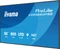 iiyama ProLite LH5566UHSB-B1AG, 55" Vorschaubild