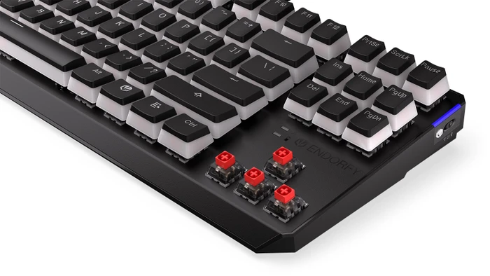 Endorfy Thock TKL Wireless Pudding, PBT, LEDs RGB, hot-swap, Kailh Box RED, USB/Bluetooth, US
