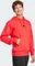 adidas Essentials Feelcozy French Terry Hoodie pure ruby/black (Herren) Vorschaubild