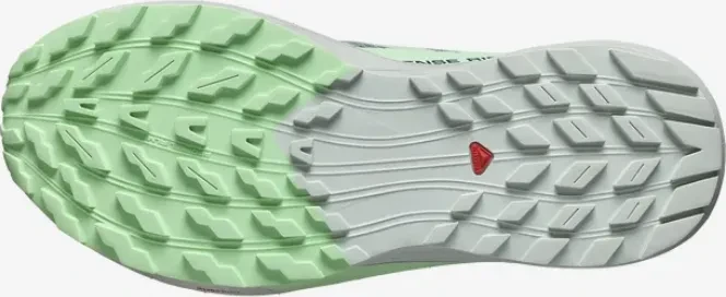 Salomon Sense Ride 5 lily pad/metal/green ash (Damen)