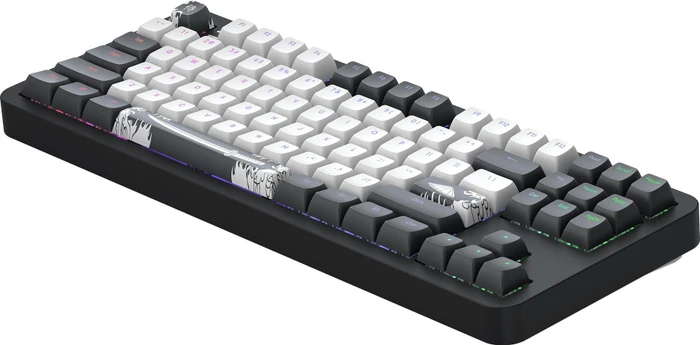 Dark Project ALU87B Bushido Gaming Keyboard, schwarz/weiß, LEDs RGB, g3ms Moonstone, USB, US