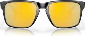 Oakley Holbrook XL matte black/prizm violet