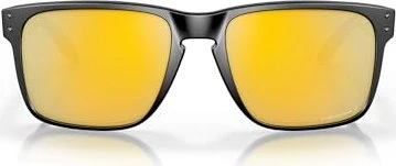 Oakley Holbrook XL matte black/prizm violet