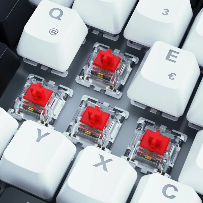 Sharkoon Skiller SGK50 S3 White, schwarz/weiß, LEDs RGB, hot-swap, Gateron RED, USB, DE