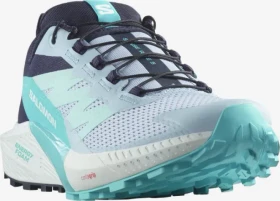 Salomon Sense Ride 5 cashmere blue/carbon/peacock blue (Damen)