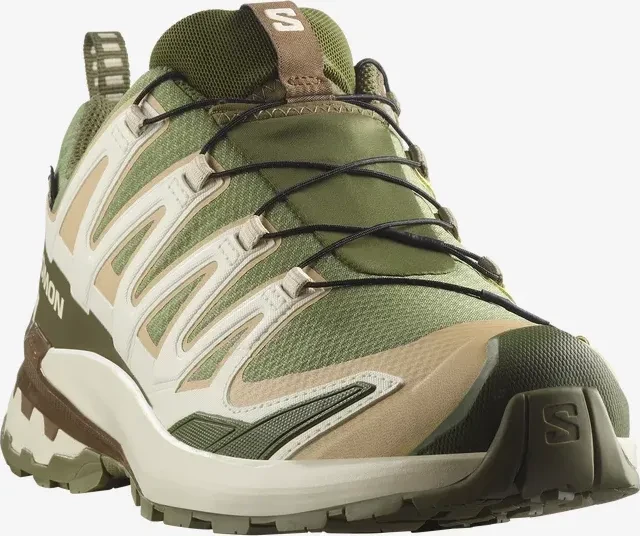 Salomon XA Pro 3D V9 GTX deep lichen green/safari/dark earth (Herren)