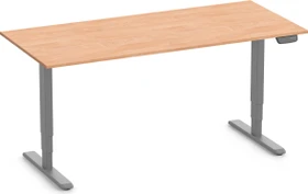 Ergolutions Primus elektrisch höhenverstellbarer Sitz-Steh-Schreibtisch 180x80cm Buche/grau