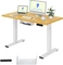 FlexiSpot EF1 100x60cm Sitz-Steh-Schreibtisch Vorschaubild