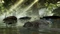 Dead Island - Riptide (PS3) Vorschaubild