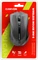 Canyon MW-5 Wireless Mouse schwarz, USB Vorschaubild