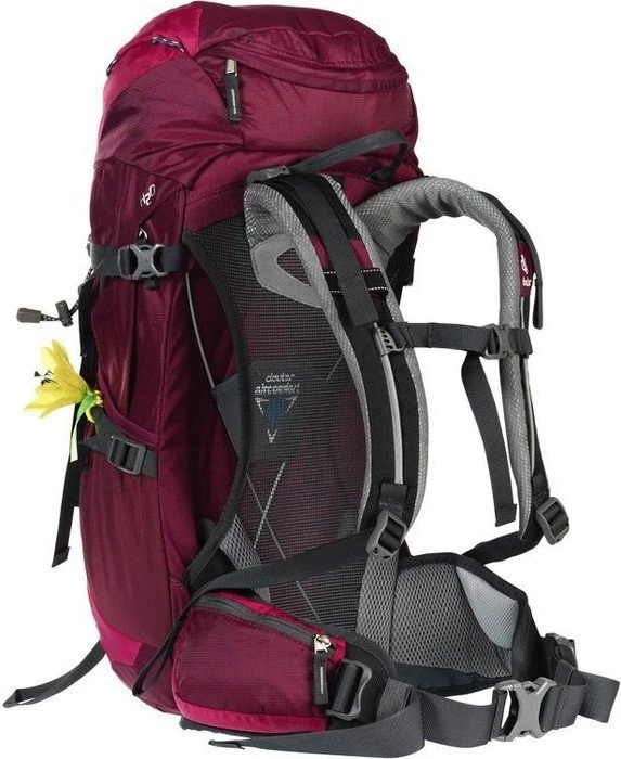Deuter Futura 24 SL blackberry/magenta (Damen)