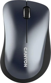 Canyon MW-11 Wireless Mouse schwarz, USB (CNE-CMSW11B)