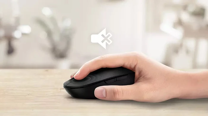 Philips 3000 Series Silent Wireless Mouse, schwarz, USB