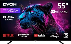 Dyon Movie Smart 55 VX