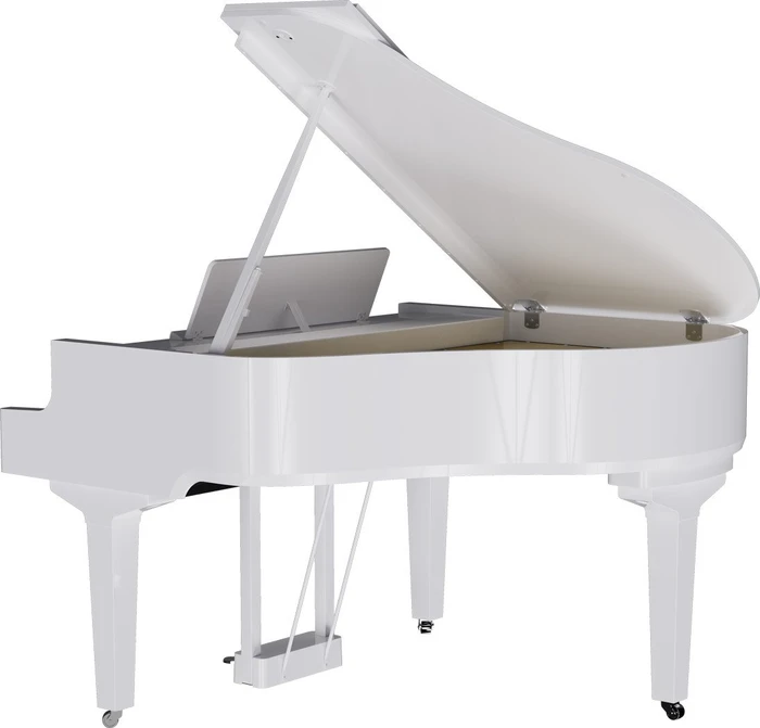 Roland GP-9 schwarz