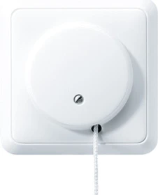 Jung Serie CD Zug-Wechselschalter 10 AX 250V, alpinweiß