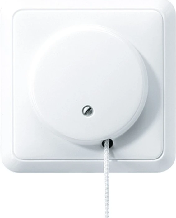 Jung Serie CD Zug-Wechselschalter 10 AX 250V, alpinweiß