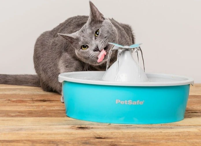 PetSafe Drinkwell Butterfly Trinkbrunnen, 1.5l