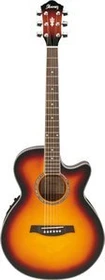 Ibanez AEG10E