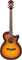 Ibanez AEG10E Vorschaubild