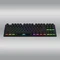 Hator Gravity X TKL Wired, LEDs RGB, Aurum Orange rev.2.0, USB, US Vorschaubild