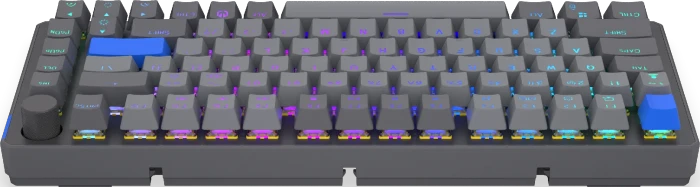 Endorfy Thock V2 75% Wireless, PBT, grau, LEDs RGB, hot-swap, Endorfy YELLOW, USB/Bluetooth, US
