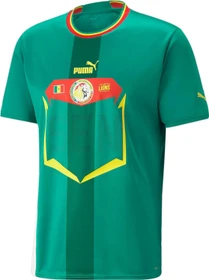 Puma FIFA WM 2022 Senegal Auswärtstrikot (Herren)