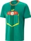 Puma FIFA WM 2022 Senegal Trikot (Herren) Vorschaubild