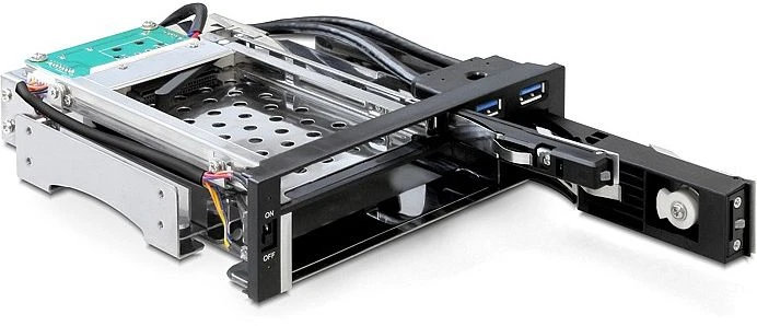 DeLOCK 5.25" Wechselrahmen auf 1x 2.5", 1x 3.5" SATA