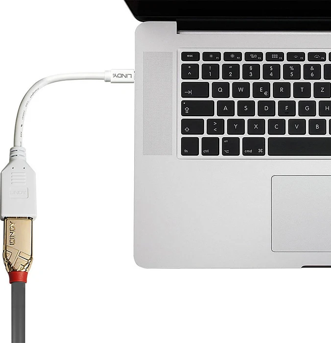 Lindy Adapterkabel Mini DisplayPort [Stecker] auf DisplayPort [Buchse]