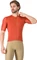 Castelli Espresso 2 Trikot kurzarm (Herren) Vorschaubild