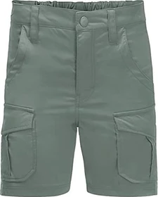 Jack Wolfskin Treasure Hunter Shorts Hose kurz hedge green (Junior)