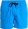 Quiksilver Everyday Solid 15" Badeshorts (Herren) Vorschaubild