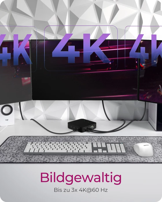 RaidSonic Icy Box IB-DK4090-C, USB-C 3.1 [Stecker]