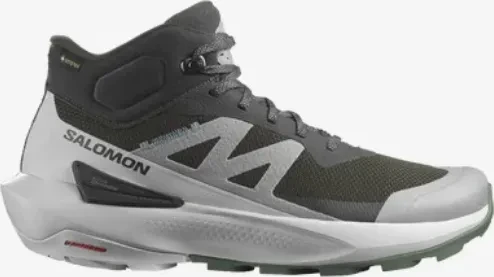 Salomon Elixir Activ Mid GTX phantom/glacier grey/laurel wreath (Herren)
