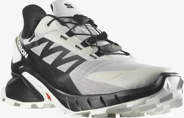 Salomon Supercross 4 GTX lunar rock/black/white (Herren)