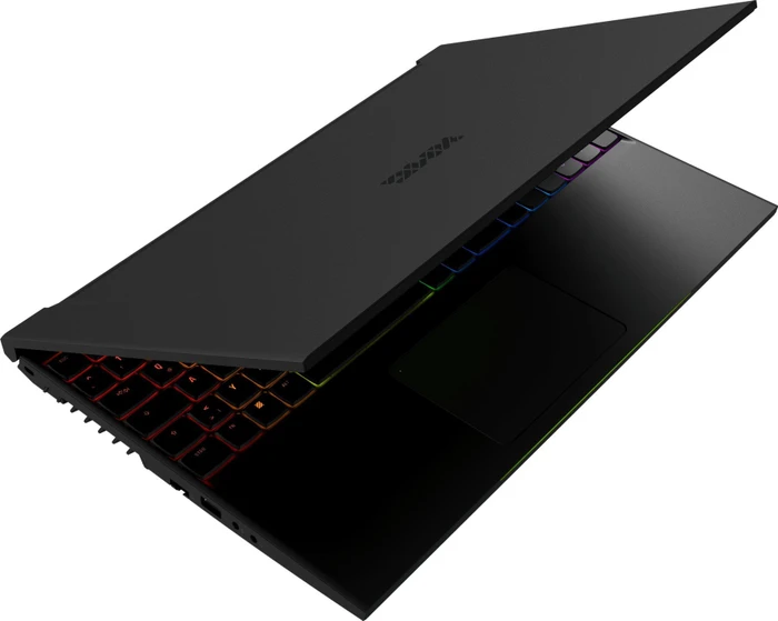 Schenker XMG NEO 15-M18thr, Core i7-8750H, 8GB RAM, 256GB SSD, GeForce GTX 1060, DE