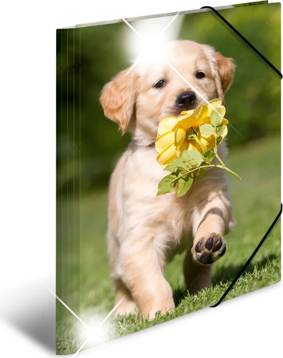 Herma Glossy Tiere Sammelmappe, A3, Hunde