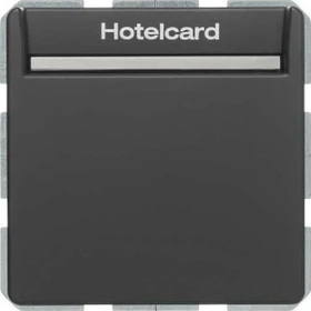 Berker Q.1/Q.3 Relais-Schalter mit Zentralstück für Hotelcard, anthrazit samt