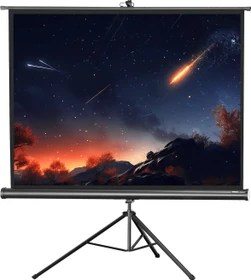 Celexon Stativleinwand Economy 211x160cm