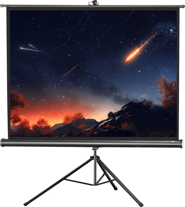 Celexon Stativleinwand Economy 211x160cm
