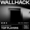 Wallhack SP-004A Glass Pad 4.0 Glas-Gaming-Mauspad, 450x390mm, schwarz Vorschaubild