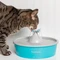 PetSafe Drinkwell Butterfly Trinkbrunnen, 1.5l Vorschaubild