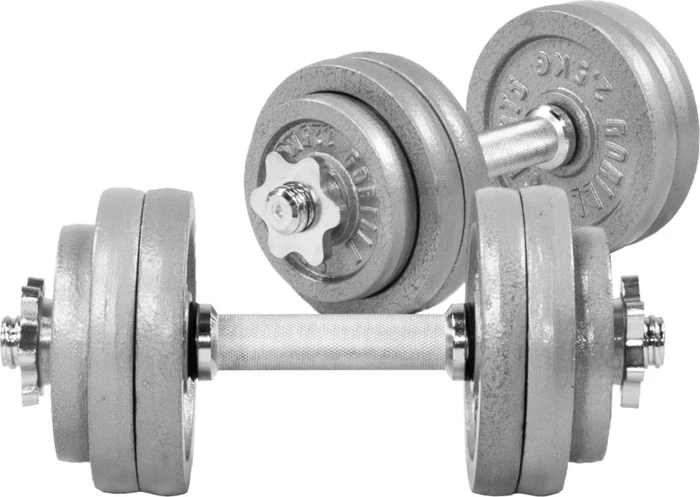 Gorilla Sports Gusseisen Kurzhanteln Sternverschluss Hantelstangen Set 30kg