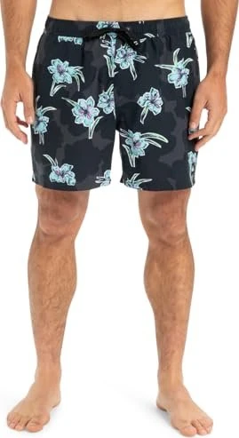 Quiksilver Everyday Straight 15" Badeshorts backyards/black (Herren)