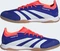 adidas Predator Elite IN lucid blue/cloud white/solar red Vorschaubild